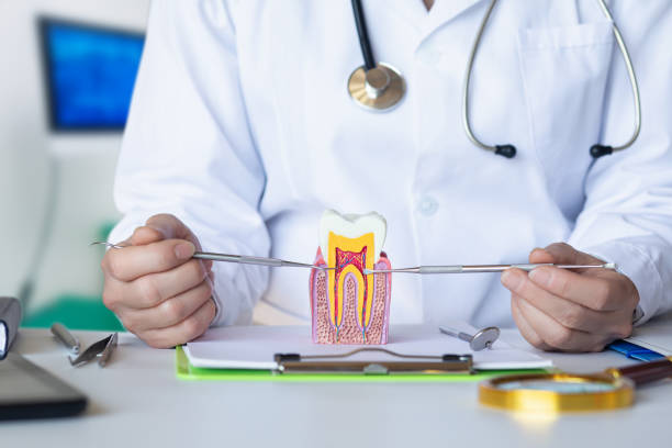 Best Emergency Root Canal Treatment in San Castle, FL